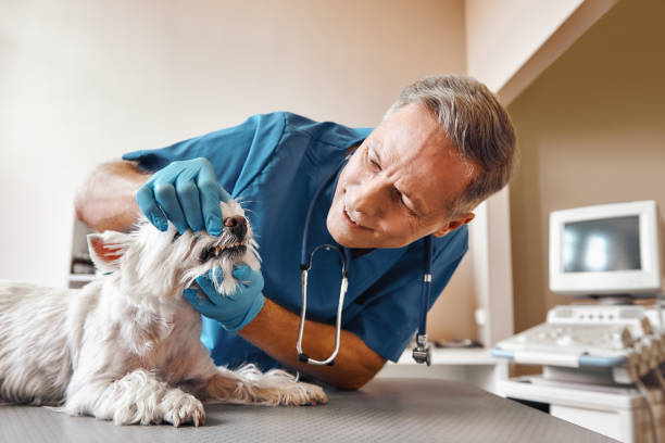 Best Emergency Tooth Extraction in Rockwell Place, TX
